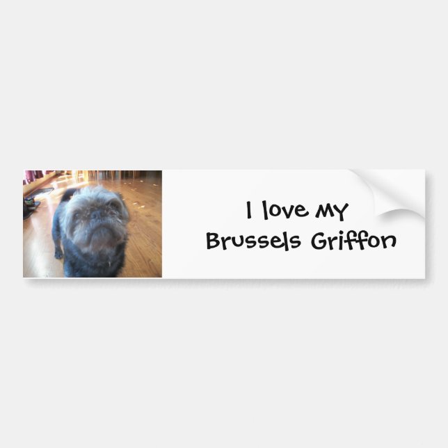 Brussels Griffon Bumper Sticker (Front)