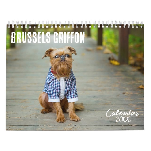 Brussels Griffon calendar 2026 (Cover)