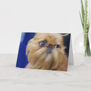 Brussels Griffon Dog Greeting Card