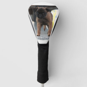 brussels griffon front view golf head cover