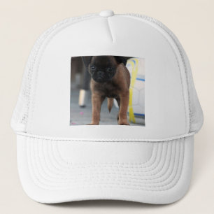 brussels griffon front view trucker hat