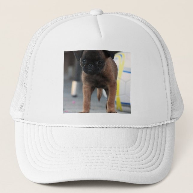 brussels griffon front view trucker hat (Front)