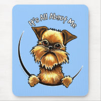 Brussels Griffon Its All About Me