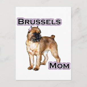 Brussels Griffon Mum; Mum of Brussels Griffon Postcard
