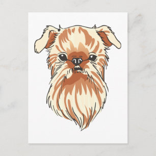 Brussels Griffon Postcard
