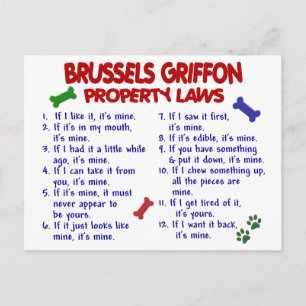 BRUSSELS GRIFFON Property Laws 2 Postcard