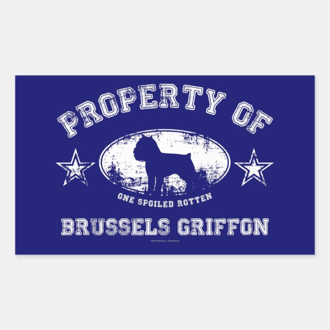 Brussels Griffon Rectangular Sticker (Front)