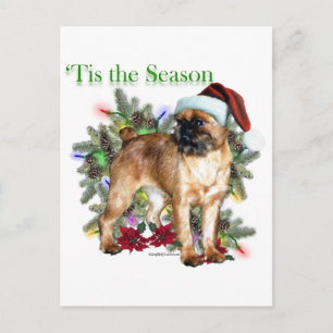 Brussels Griffon ‘Tis Postcard