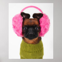 Brussels Griffon With Pink Earmuffs