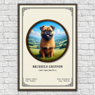 Brussels Griffon Zoology Series Poster