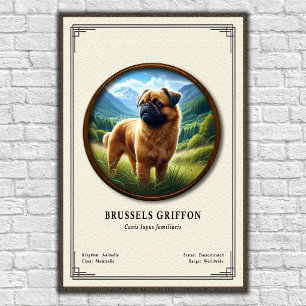 Brussels Griffon Zoology Series Poster