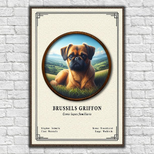 Brussels Griffon Zoology Series Poster