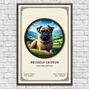 Brussels Griffon Zoology Series Poster