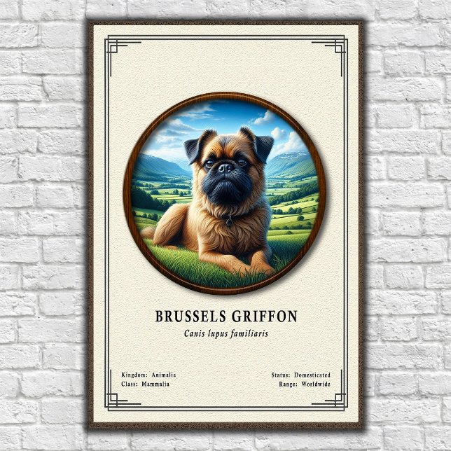 Brussels Griffon Zoology Series Poster (Creator Uploaded)