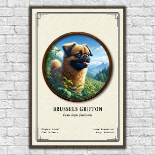 Brussels Griffon Zoology Series Poster