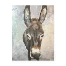 Brutus Miniature Donkey Post Card