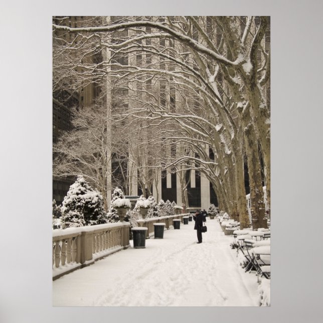 Bryant Park Snow Poster (Front)