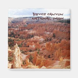 Bryce Canyon Ampitheater Magnet