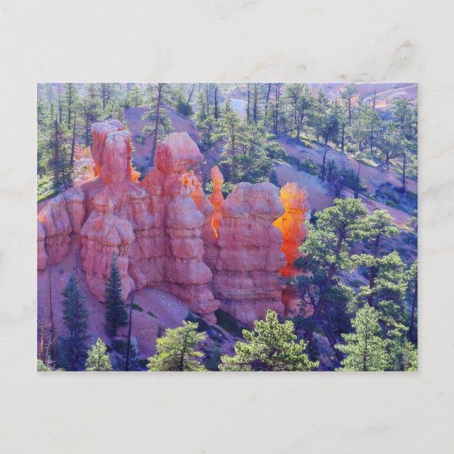 Bryce Canyon Glowing Postcard (Front)