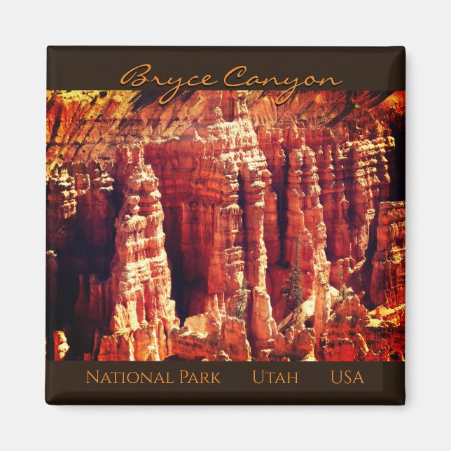 Bryce Canyon Magnet (Front)