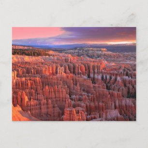 Bryce Canyon National Park Photo Postcard