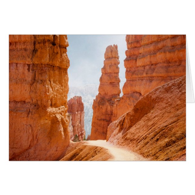 Bryce Canyon National Park Trail (Front Horizontal)