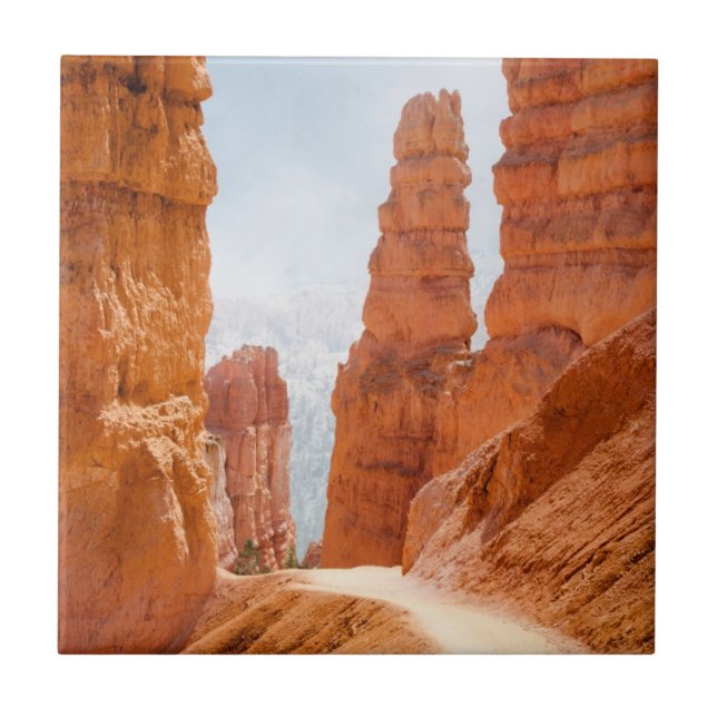Bryce Canyon National Park Trail Ceramic Tile (Front)