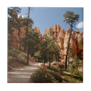 Bryce Canyon National Park Trail Ceramic Tile