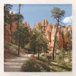 Bryce Canyon National Park Trail Glass Coaster