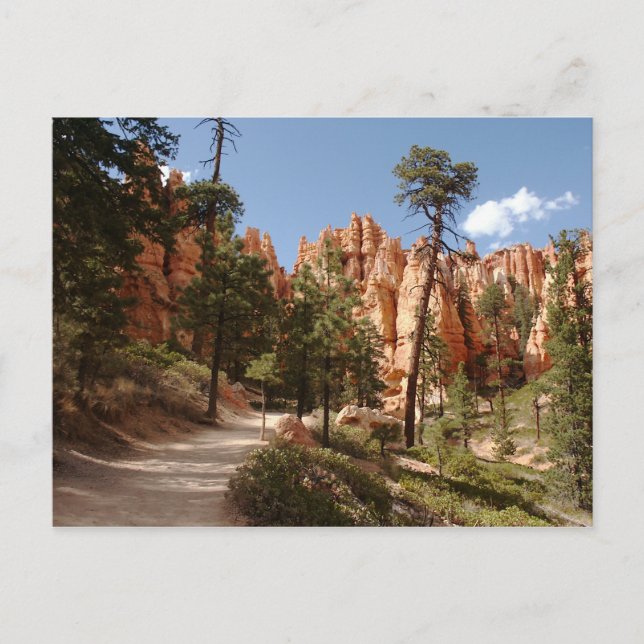 Bryce Canyon National Park Trail Postcard (Front)