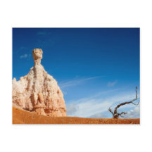 Bryce Canyon NP - Gnome and a tree postcard