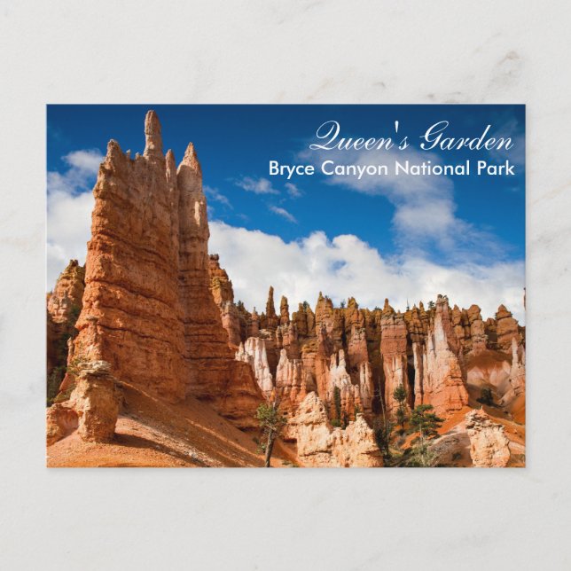 Bryce Canyon NP - Queens Garden postcar Postcard (Front)