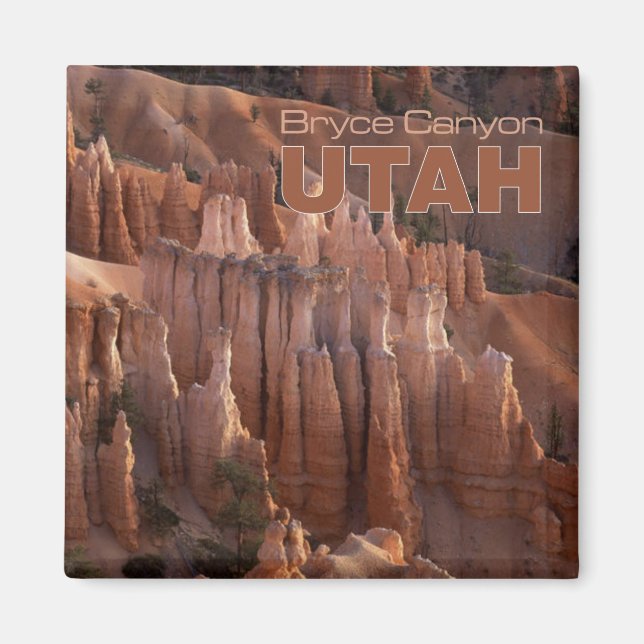 Bryce Canyon Photo Utah Souvenir Fridge Magnets (Front)