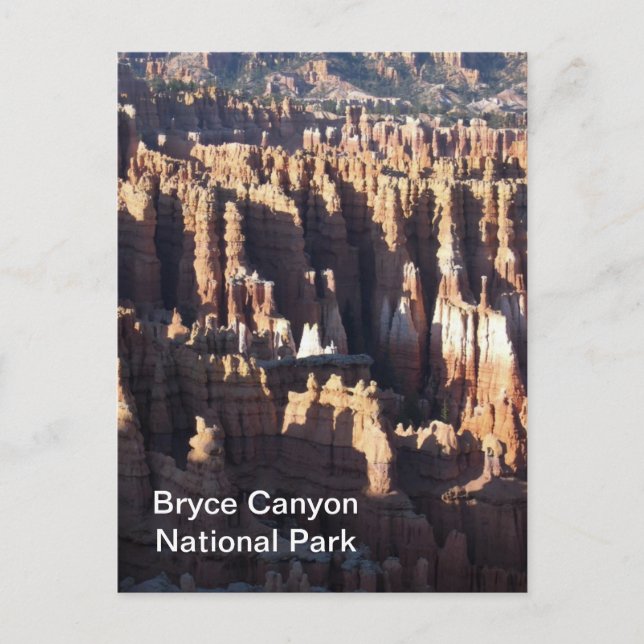 Bryce Canyon Postcard (Front)