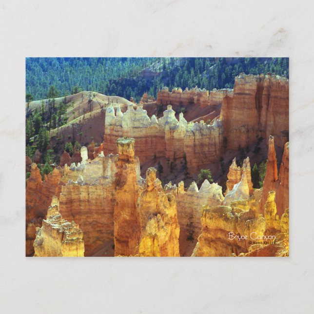 Bryce Canyon Postcard (Front)