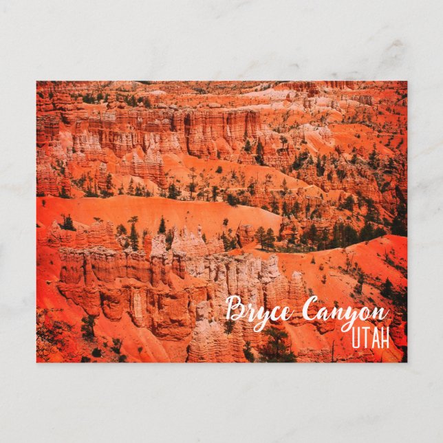 Bryce Canyon, Ut Postcard (Front)