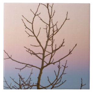 Bryce Canyon, Utah. Bare tree in front of sunset Ceramic Tile