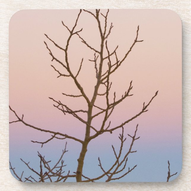 Bryce Canyon, Utah. Bare tree in front of sunset Coaster (Front)