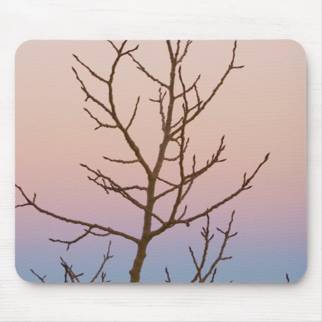 Bryce Canyon, Utah. Bare tree in front of sunset Mouse Pad (Front)