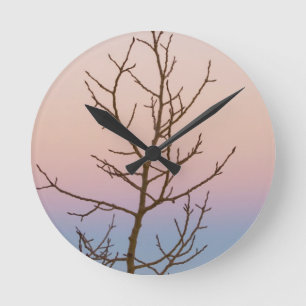 Bryce Canyon, Utah. Bare tree in front of sunset Round Clock