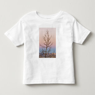 Bryce Canyon, Utah. Bare tree in front of sunset Toddler T-Shirt