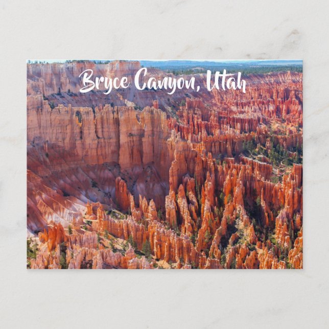 Bryce Canyon Utah Hoodoos Postcard (Front)