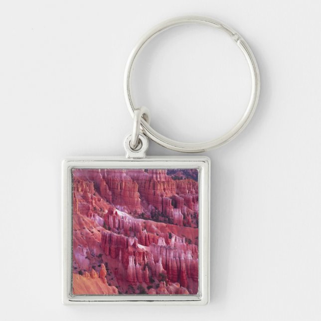 Bryce Canyon, Utah, USA Key Ring (Front)