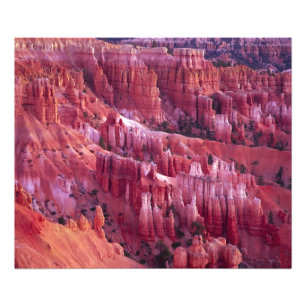 Bryce Canyon, Utah, USA Photo Print