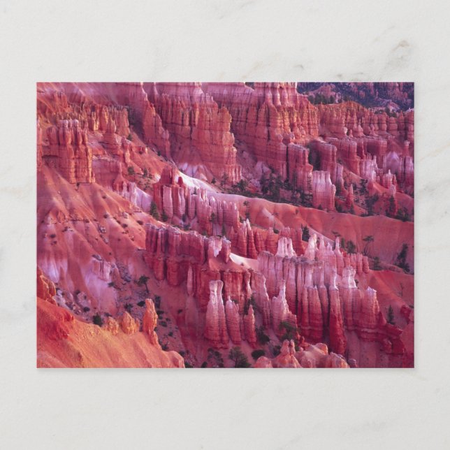 Bryce Canyon, Utah, USA Postcard (Front)