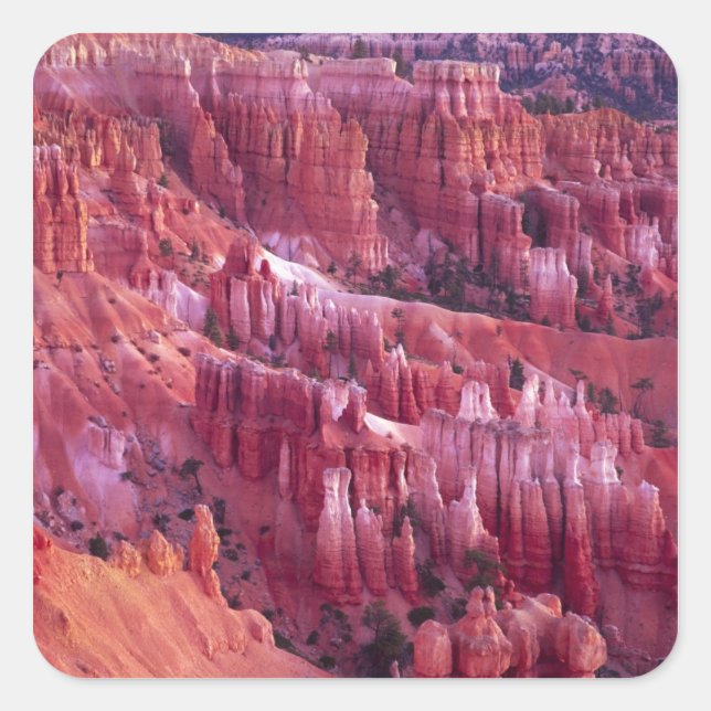Bryce Canyon, Utah, USA Square Sticker (Front)