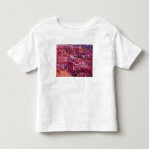 Bryce Canyon, Utah, USA Toddler T-Shirt