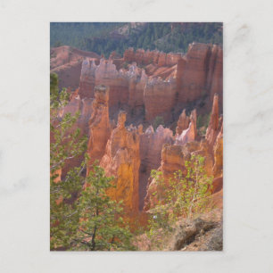 Bryce Postcard