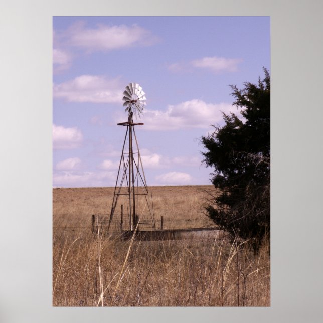 BSFL Windmill Poster (Front)