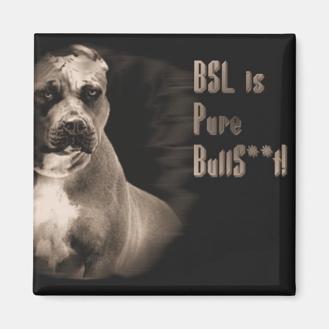 BSL is pure BS square magnet (Front)